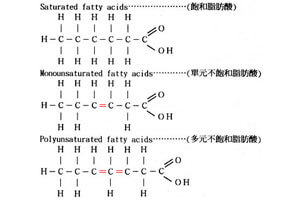 鏈狀結構中若含一個雙鍵者為單元不飽和脂肪酸，含兩個以上的雙鍵稱為多元不飽和脂肪酸，不含雙鍵則為飽和脂肪酸