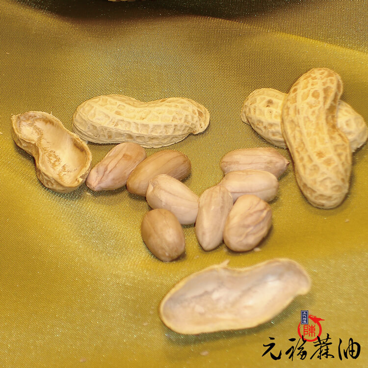 鹹酥十一號花生仁